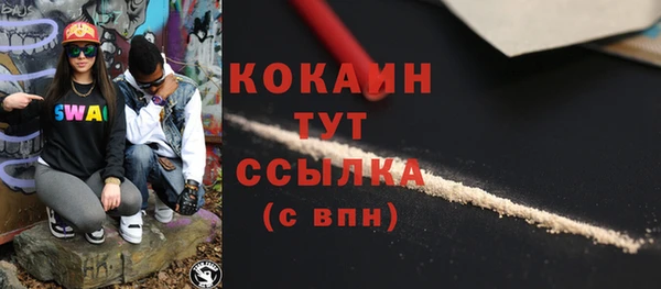 дурь Шадринск