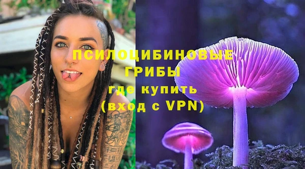 соль ск Абдулино